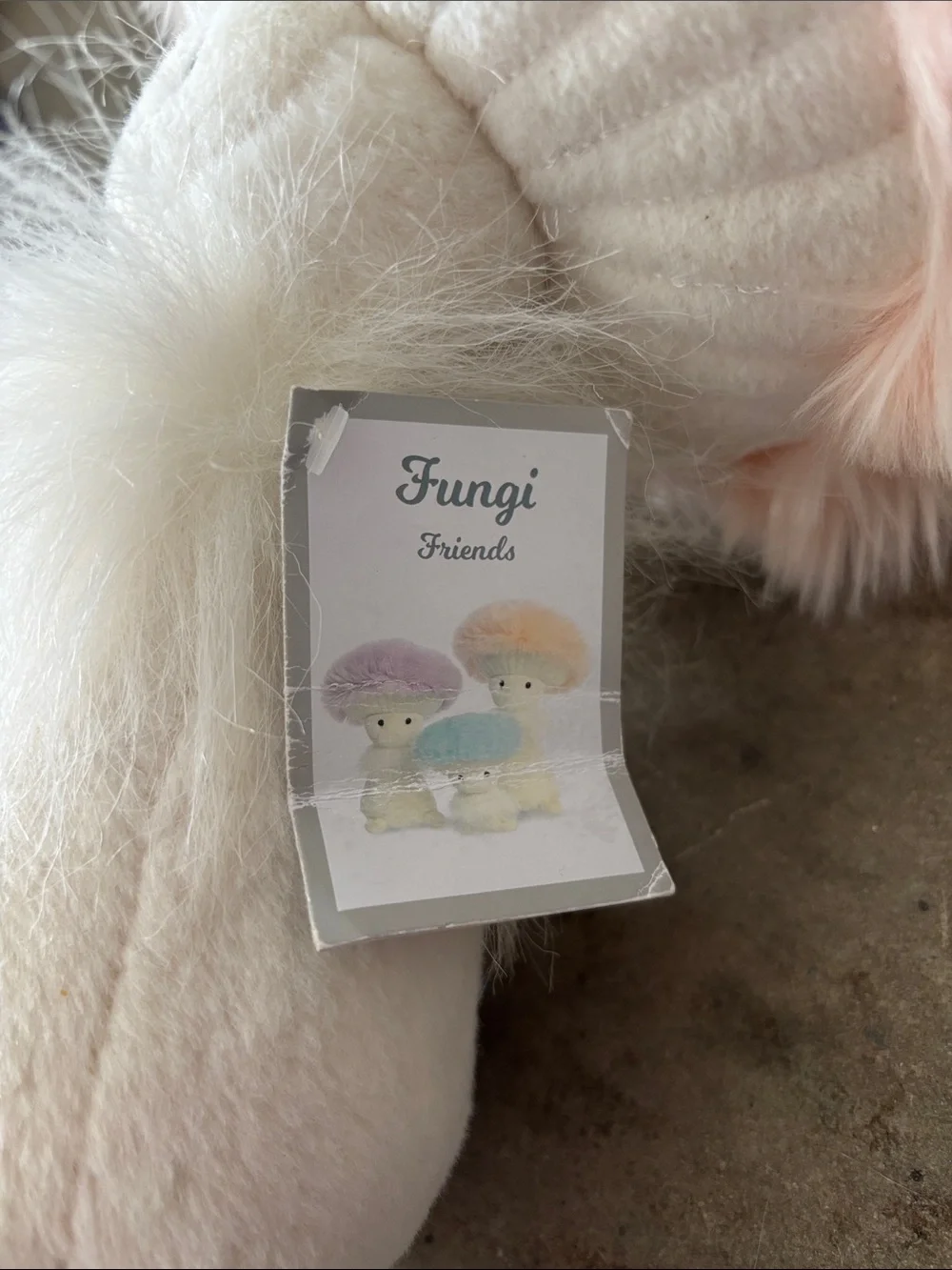 2021 Aurora Fungi Friends 10